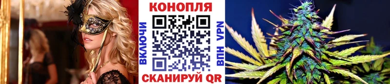 Купить наркотики цена Грайворон Гашиш  Бошки Шишки  Cocaine  Меф 