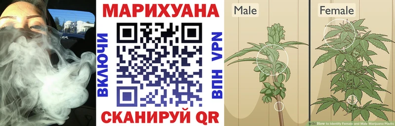 Бошки марихуана тримм Грайворон